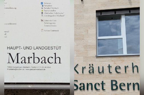Ausflug Haupt- u. Landesgestüt Marbach u. Kräuterhaus Sanct Bernhard Ausflug Haupt- u. Landesgestüt Marbach u. Kräuterhaus Sanct Bernhard