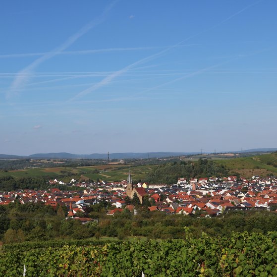Panoramabild der Weinstadt Rauenberg im Kraichgau Panoramabild der Weinstadt Rauenberg im Kraichgau. Dom des Angelbachtals in der Mitte bei wolkenlosem Himmel