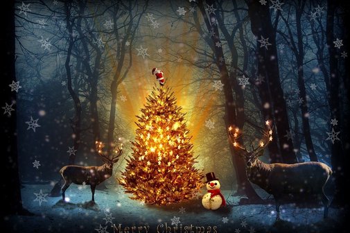 Weihnachtsfeier 13.12.2025 Weihnachtsfeier 13.12.2025