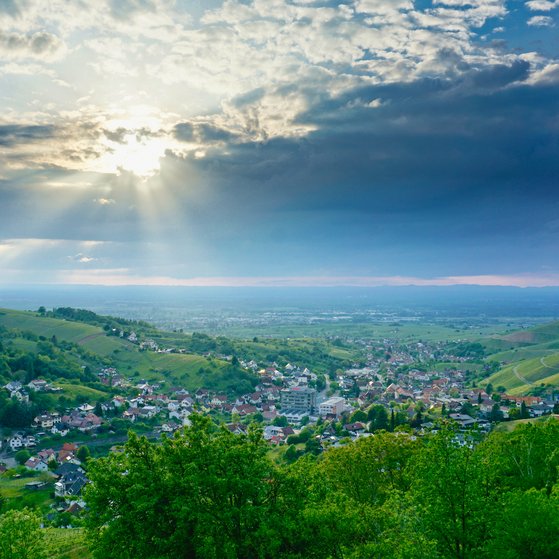 Bühlertal mit Blick in die Rheinebene Bühlertal mit Blick in die Rheinebene
